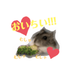 ❤︎おばぶ❤︎（個別スタンプ：20）