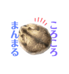 ❤︎おばぶ❤︎（個別スタンプ：21）