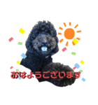 タルボンも一言（個別スタンプ：1）