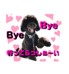 タルボンも一言（個別スタンプ：2）