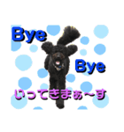 タルボンも一言（個別スタンプ：3）