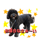 タルボンも一言（個別スタンプ：5）