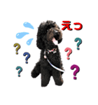 タルボンも一言（個別スタンプ：11）