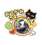 バニのつぶやき（個別スタンプ：3）