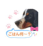 バニのつぶやき（個別スタンプ：10）
