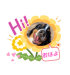 バニのつぶやき（個別スタンプ：13）