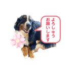 バニのつぶやき（個別スタンプ：14）