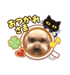 ☆W.family☆（個別スタンプ：1）