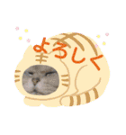 フレンチブルドックムウと愉快な仲間達（個別スタンプ：14）