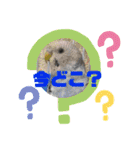 フレンチブルドックムウと愉快な仲間達（個別スタンプ：19）