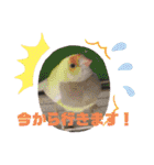 フレンチブルドックムウと愉快な仲間達（個別スタンプ：23）