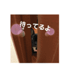 フレンチブルドックムウと愉快な仲間達（個別スタンプ：24）