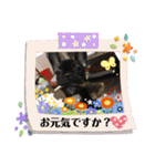 フレンチブルドックムウと愉快な仲間達（個別スタンプ：27）