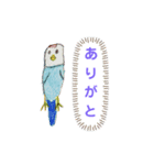 毎日のスタンプ C（個別スタンプ：1）