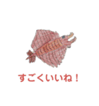 毎日のスタンプ C（個別スタンプ：2）
