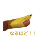 毎日のスタンプ C（個別スタンプ：5）