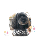 チームはしくん（個別スタンプ：5）