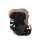 チームはしくん（個別スタンプ：8）