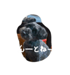 チームはしくん（個別スタンプ：14）