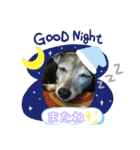 GIGI 2020（個別スタンプ：2）