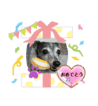 GIGI 2020（個別スタンプ：4）