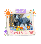 GIGI 2020（個別スタンプ：8）