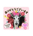 GIGI 2020（個別スタンプ：10）