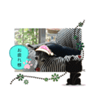 GIGI 2020（個別スタンプ：12）