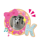 GIGI 2020（個別スタンプ：13）