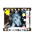 GIGI 2020（個別スタンプ：15）