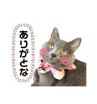 ももとすも2（個別スタンプ：2）