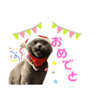 ももとすも2（個別スタンプ：4）