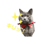 ももとすも2（個別スタンプ：7）