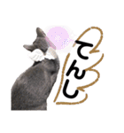 ももとすも2（個別スタンプ：9）