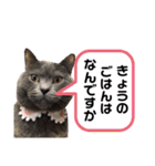 ももとすも2（個別スタンプ：15）