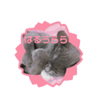 ももとすも2（個別スタンプ：18）
