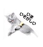 ももとすも2（個別スタンプ：21）