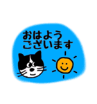 ハチワレ猫の ゆるっと敬語（個別スタンプ：1）