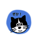 ハチワレ猫の ゆるっと敬語（個別スタンプ：13）