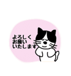 ハチワレ猫の ゆるっと敬語（個別スタンプ：37）