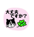 ハチワレ猫の ゆるっと敬語（個別スタンプ：38）