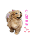 アロマのかわゆすたんぷ（個別スタンプ：2）