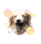 アロマのかわゆすたんぷ（個別スタンプ：8）