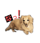アロマのかわゆすたんぷ（個別スタンプ：13）