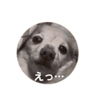 アロマのかわゆすたんぷ（個別スタンプ：22）