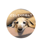 アロマのかわゆすたんぷ（個別スタンプ：35）