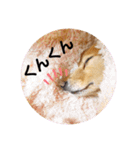 アロマのかわゆすたんぷ（個別スタンプ：36）
