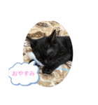 よねフレキャビ（個別スタンプ：3）
