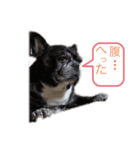 よねフレキャビ（個別スタンプ：4）