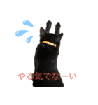 よねフレキャビ（個別スタンプ：8）